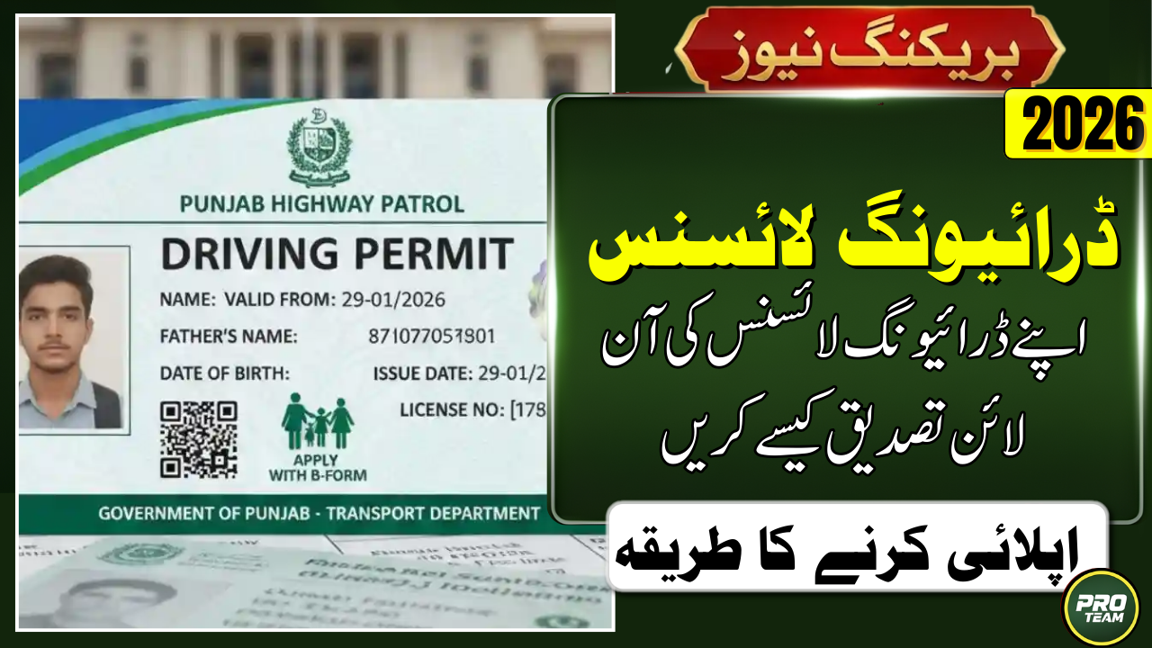Verify Your Driving License Online